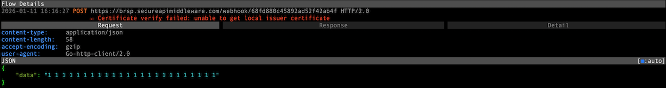 Data Interception